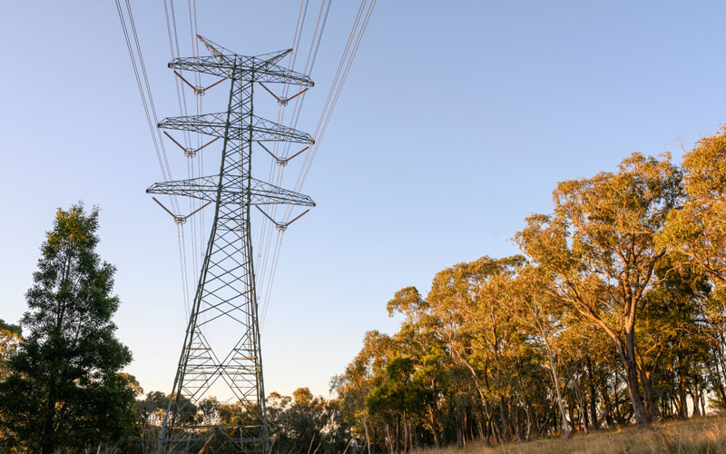 a power line with trees in the background.